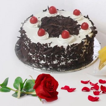 PRF CAKE 11